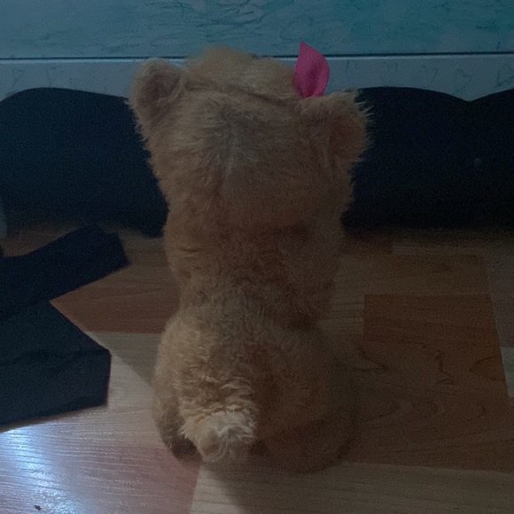 Furreal friend,it’s a cat ,the cats orange and it always meows and moves paws. - Picture 3 of 4